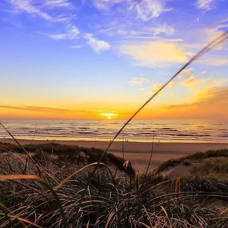 4 Personer - Henne *